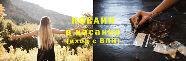 соль ск Абаза