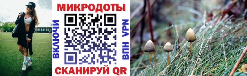 Галлюциногенные грибы мухоморы  Болохово 