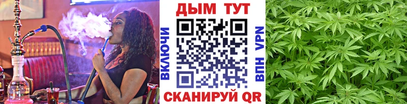 Бошки марихуана AK-47  цены наркотик  Болохово 